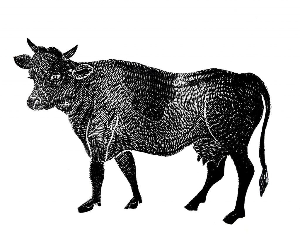 Cow